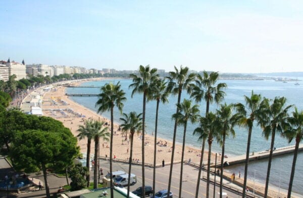 Le palme che costeggiano il Boulevard de la Croisette sopra la spiaggia di Cannes