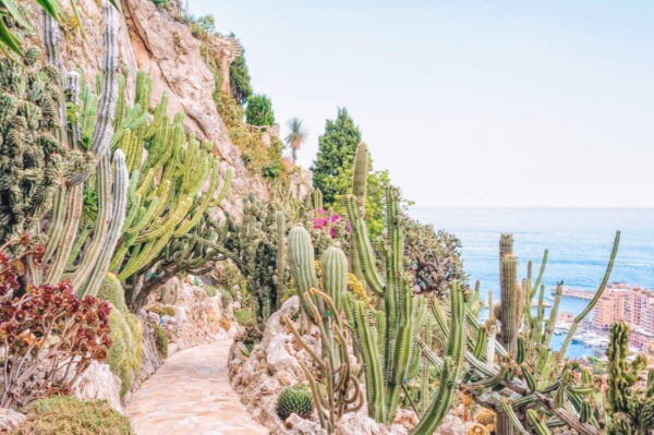 Monaco’s Parks & Gardens - monaco travel guide jardin exotique