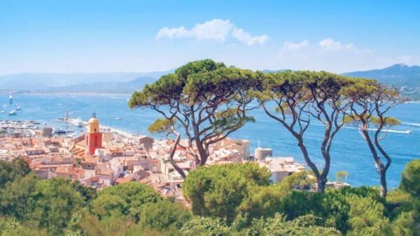 Il centro storico e il campanile di Saint-Tropez visti tra i pini marittimi che sovrastano la baia